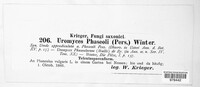 Uromyces appendiculatus image